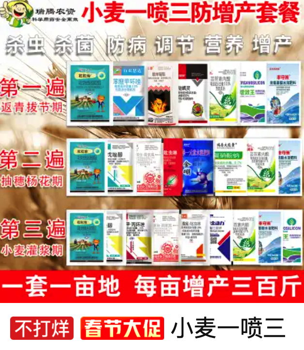 relaxed t shirt default1